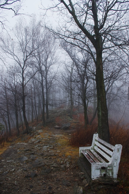 Photo depicting a mountain path